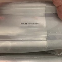 Vente en gros, 1 pièce neuve, adaptée au DSBC-63-250-PPwbrVA-N3 1383586, livraison gratuite, livraison rapide #   Longue durée de vie