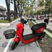 Fabricant chinois en gros, vélo électrique urbain à 2 places avec moteur sans balais 350W, batterie au plomb-acide 48V, grand panier, acier sécurisé à l'arrière