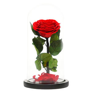 UKIQUEEN all'ingrosso lussuoso san valentino nero ha conservato le <span class=keywords><strong>rose</strong></span> in vetro cupola regali - Product Image 4