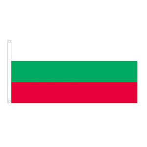 3x5FT 90X150CM Bandera NACIONAL DE <span class=keywords><strong>Israel</strong></span> Bandera de país Bandera de <span class=keywords><strong>Israel</strong></span> - Product Image 6