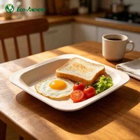 Assiette en pulpe de bois laminée très résistante, vaisselle jetable résistante à l'huile et à l'eau