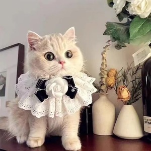 Bavoirs pour chat élégants et réglables, monochromes, pour petits et moyens animaux de compagnie, toutes saisons - Product Image 2