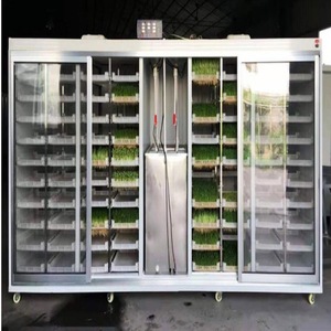 Sistema Automático <span class=keywords><strong>de</strong></span> Cultivo Hidropónico <span class=keywords><strong>de</strong></span> <span class=keywords><strong>Brotes</strong></span> <span class=keywords><strong>de</strong></span> <span class=keywords><strong>Soja</strong></span> con Motor <span class=keywords><strong>de</strong></span> 750W, Máquina para <span class=keywords><strong>Brotes</strong></span> <span class=keywords><strong>de</strong></span> Mung - Product Image 5