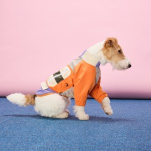 Abbigliamento per <span class=keywords><strong>Cani</strong></span> Resistente al Vento, Techwear in Poliestere Classico Impermeabile e Traspirante, Gilet e Giacche per <span class=keywords><strong>Cani</strong></span> <span class=keywords><strong>di</strong></span> Taglia Grande - Product Image 2