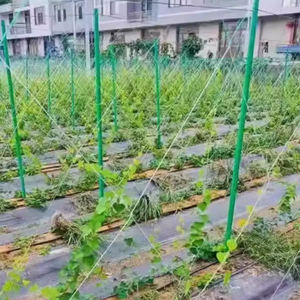 Clôture Arbre Potager Passion Fruit Support Fibre Pôle Tube En Fibre De Verre - Product Image 6