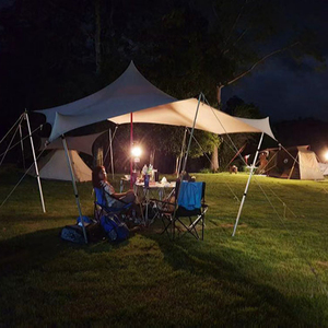 <span class=keywords><strong>2019</strong></span> Nouvelle Conception De Haute Qualité En Plein Air Style Libre Tente Extensible Pour Abri De Voiture Ou De Mariage - Product Image 6