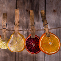 Natuurlijk gedroogde sinaasappelschijfjes gedroogd fruit cocktail garnituur rechtstreeks van de fabriek groothandel