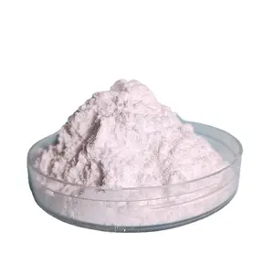 炭酸マグネシウムCMgO3 CAS 546-93-0/13717-00-5軽量/重粉末工場供給