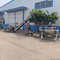 Automatische kleine tomatenpuree productielijn 500kg/u kant-en-klare ketchupverwerkingsinstallatie SUS304 roestvrij staal Jiarun merk 1 jaar garantie