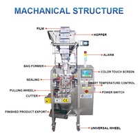 Machine de remplissage et d'emballage automatique de poudre quantitative pour épices, assaisonnements, café, farine - Acier inoxydable 304 - Emballage en sacs/pochettes