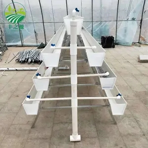 Greenhouse Planting Hydroponic Strawberry Gutter Growing System For Agriculture Irrigation