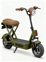 Vente directe d'usine, scooter électrique pas cher à 2 roues, vélo électrique avec pneus à vide de 14 pouces, 2 places, 48V 350W, vélo de ville électrique pour adultes
