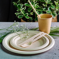 Assiette à dîner bagasse blanche/naturelle 9 pouces assiette à papier vaisselle vaisselle jetable biodégradable