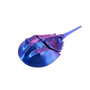 Figurine de crabe à fer à cheval articulée imprimée en 3D, jouet anti-stress créature préhistorique, ornement de bureau à collectionner pour la relaxation - Product Image 5