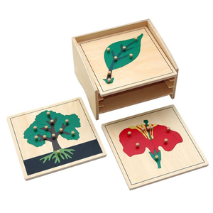 Matériel Montessori en bois, équipement pédagogique, armoire de puzzle botanique Montessori, jouets préscolaires pour enfants, Montessori Bois - Product Image 3