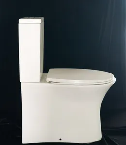 Hot Selling Ceramic Washdown Easy Cleaning Custom Logo 2 Piece Toilet For Hotel