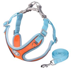 Conjunto de correa de arnés para perro mascota transpirable reflectante ligero hecho de gamuza y tela de malla - Product Image 3