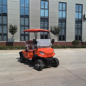Carrito de Golf Eléctrico de 2 Plazas, con Batería de Litio, de Baja Velocidad, para Clubes y Zonas Turísticas - Product Image 5