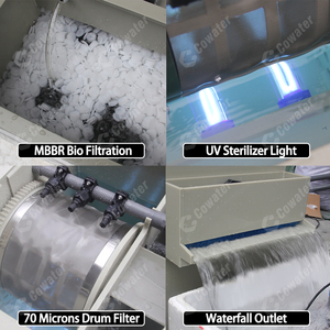 Cowater 30 m3/h Koi AO Lọc di chuyển giường màng sinh học lò phản ứng (mbbr) + UV ánh sáng + ROTARY trống Lọc Koi Ao - Product Image 4
