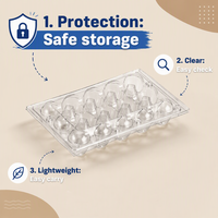 Boîte/conteneur d'emballage en plastique transparent de haute qualité pour œufs de caille, 15 trous, type clamshell