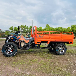 Personnalisation automatique <span class=keywords><strong>Mini</strong></span> Jeep Voiture adulte tout-terrain rue légale à vendre Buggy Véhicule utilitaire - Product Image 6