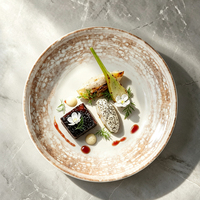 Ensemble d'assiettes en céramique à glaçure réactive craquelée TESSWANG, assiettes à dîner en porcelaine marron rustique moucheté pour restaurant et hôtel