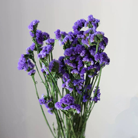 Bouquet de Myosotis séché et préservé naturel pour remplissages floraux de mariage et décorations intérieures