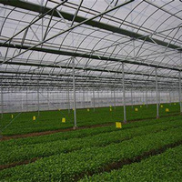 Grande conception imperméable résistante de tunnel de serre pour des solutions croissantes d'intérieur d'agriculture