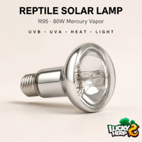 LuckyHerp JX-SL80R95CL 80W R95 Lampe à vapeur de mercure UVB/UVA transparente auto-alimentée en verre écologique pour reptiles, utilisation en intérieur