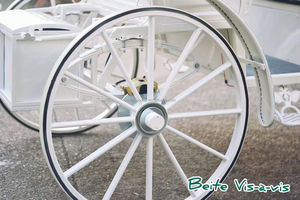 Carruajes de Cenicienta con Caballos y Batería Eléctrica en <span class=keywords><strong>Venta</strong></span> - Product Image 6