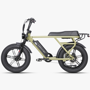 Vélo électrique à pneus larges 20 pouces 750W 48V, style cyclomoteur rétro, vélo électrique adulte deux places, suspension tout-terrain - Product Image 3