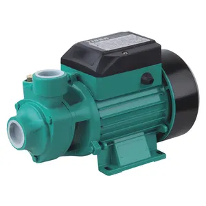 Centro pompe a eau bomba de agua pumps PM45 PM80 0.5 hp 1 hp peripheral electr water pump price for Algeria