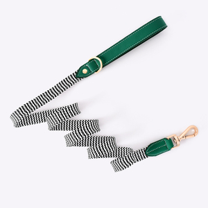 Guinzaglio per Cani Intrecciato a Righe in Nylon Resistente con Set Collare e Guinzaglio in Pelle per Cani di Taglia Media e Grande - Product Image 4