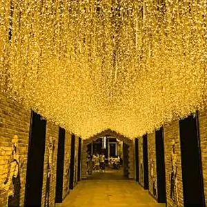 220v Bulb Decor 3M LED Curtain Icicle String Light Decoration LED Christmas Curtain Party Garden Stage Outdoor 80 DC Plug 100 GW