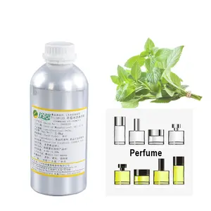 Olio profumato di alta qualità profumo di olio profumato personalizzato per profumo che produce profumo di menta piperita campione gratuito in vendita