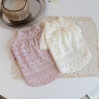 Pull en tricot de luxe pour chien et chat, style Teddy, pour bouledogues français, collection automne-hiver, vêtements populaires pour animaux de compagnie