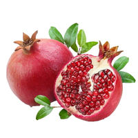 Private Label Granaatappel Granaatappel Poeder Granaatappel Extract Poeder