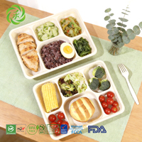 Assiette jetable LVHE en amidon de maïs à 6 compartiments pour fêtes/barbecues, biodégradable, réutilisable, alimentaire, écologique, vaisselle robuste