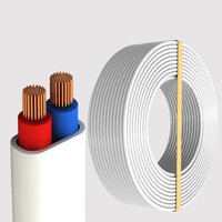 Cables Planos de Voltaje Nominal para Uso Doméstico, Venta al Por Mayor de Fábrica Personalizada