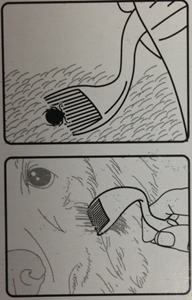 إزالة القراد البلاستيكية للحيوانات الأليفة ، حجم صغير ، استخدام بسهولة وسهولة - Product Image 4