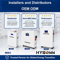Série de batteries solaires résidentielles Hysonn 51,2 V 100 Ah 230 Ah 314 Ah type mural LiFePO4 pour installateurs et distributeurs OEM ODM