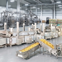 Línea de Producción de Papas Fritas de Alto Rendimiento, Tambor de Sazonamiento Inteligente para un Procesamiento Uniforme de Aperitivos Sazonados