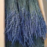 Buket berat grosir bunga kering Lavender DIY bahan bunga kering Lavender yang diawetkan untuk dekorasi dalam ruangan pernikahan