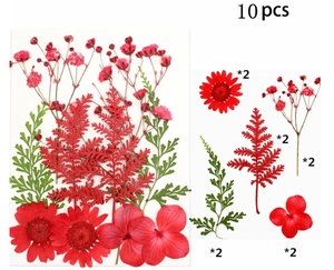Flores Secas Prensadas Florales Variadas, Paquete Mixto de Flores Naturales Secas Prensadas para Manualidades - Product Image 5