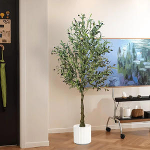 Arbre d'<span class=keywords><strong>olivier</strong></span> artificiel en gros de 160/180 cm, <span class=keywords><strong>grande</strong></span> plante décorative d'intérieur <span class=keywords><strong>pour</strong></span> salon, sur pied avec <span class=keywords><strong>pot</strong></span> - Product Image 6
