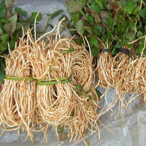 Высококачественный экстракт Houttuynia из листьев сердца - Product Image 6