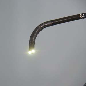 Endoscopio veterinario Video gastroscopio broncoscopy macchina endoscopia prezzo per equino o cavallo - Product Image 4