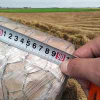 Maille hexagonale enduite de PVC en gros de gabion pour les clôtures de cages de fil de poulet de filet de stuc