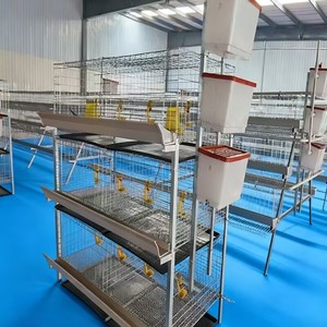 Gabbia di rete per pollame animale con tubo zincato di alta qualità - Product Image 3