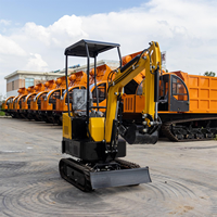 Mini-pelle Fengniao 0,8 tonne avec pompe à engrenages et roulement - Entretien facile